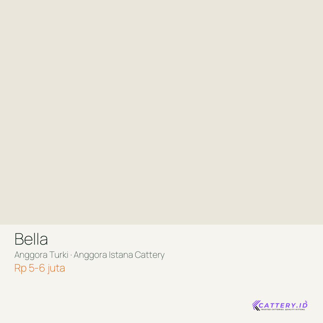 Kartu Bella