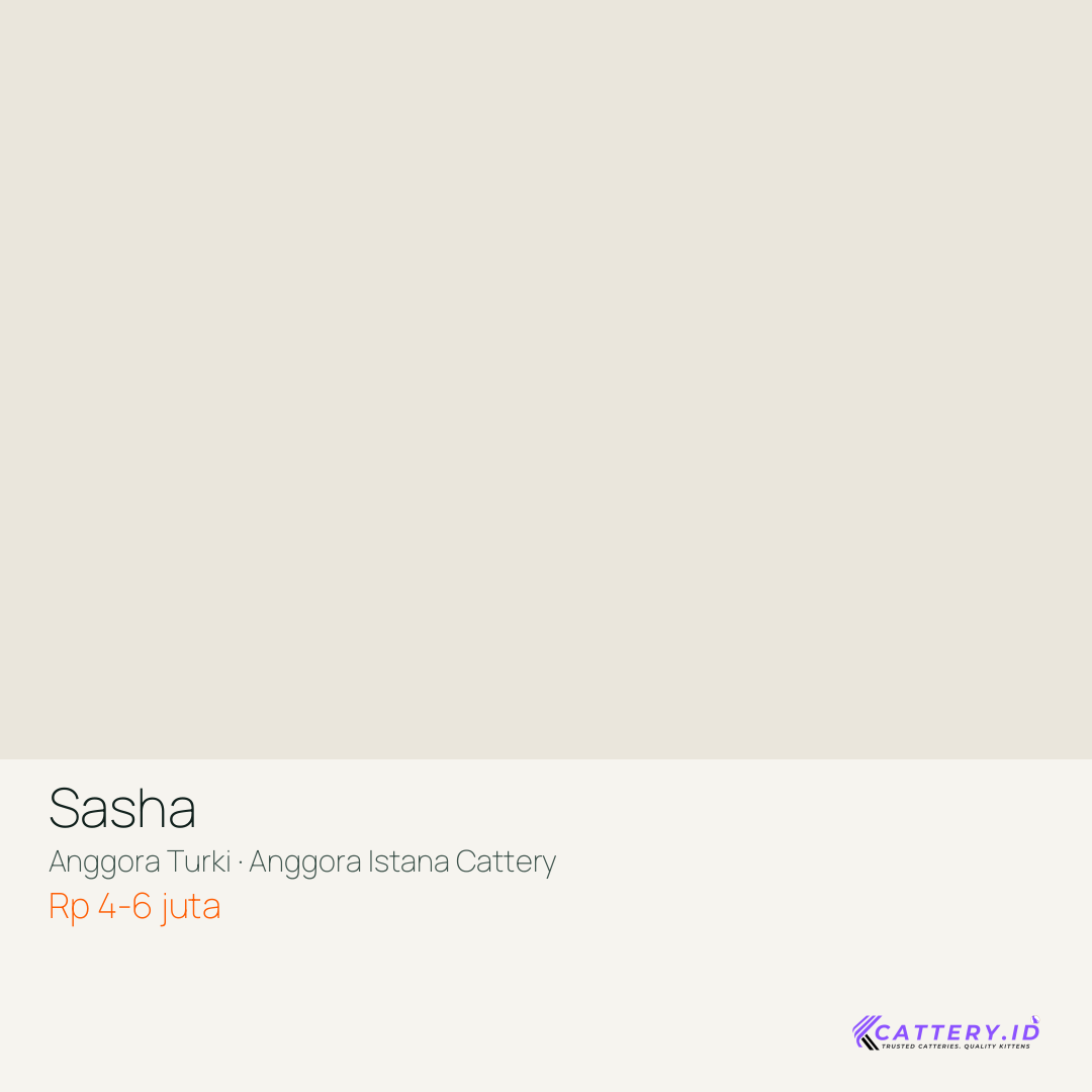 Kartu Sasha