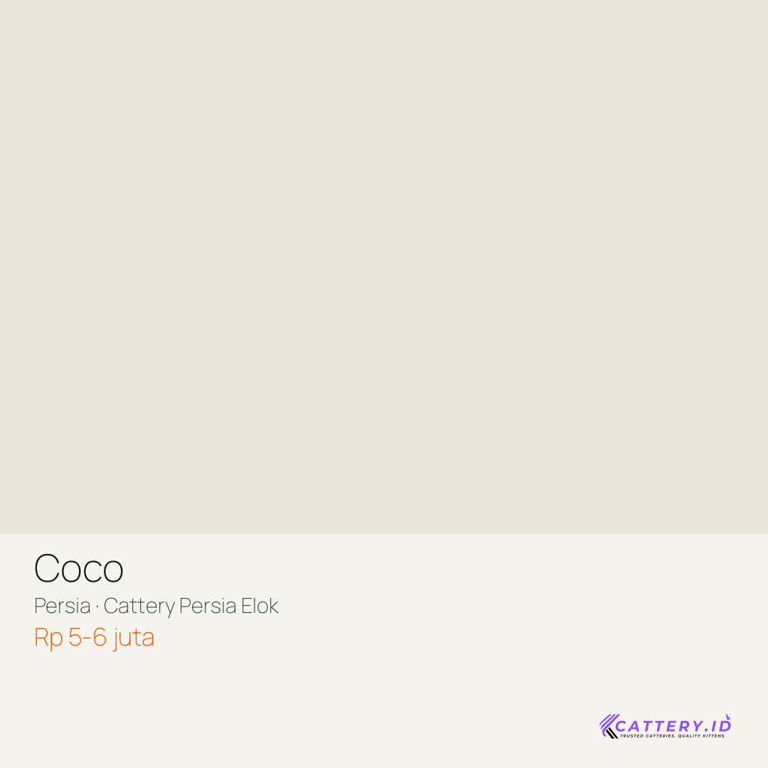 Kartu Coco