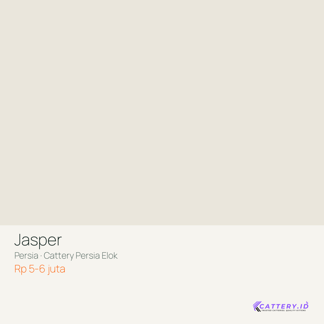 Kartu Jasper