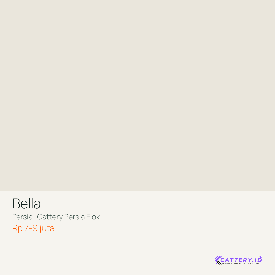 Kartu Bella