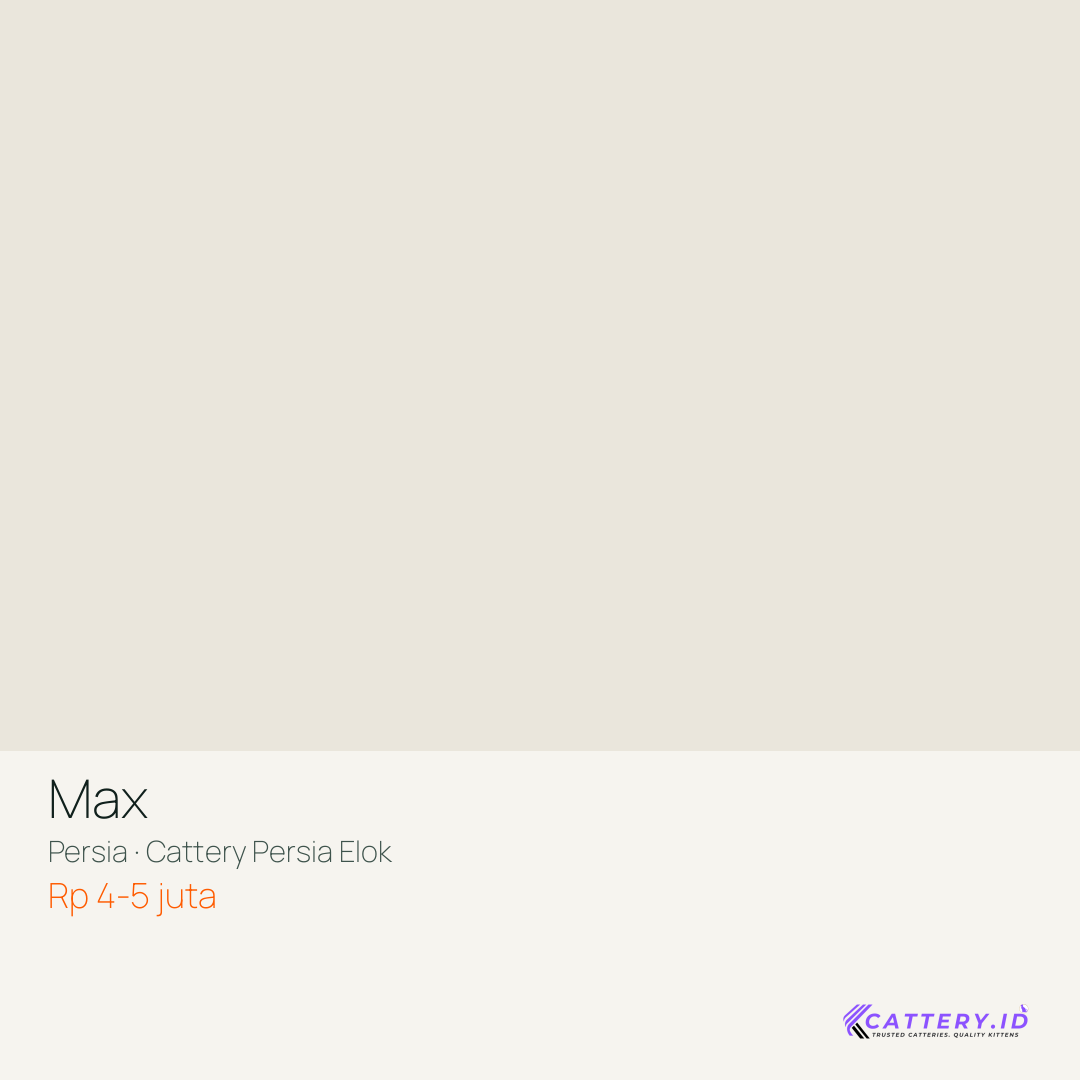 Kartu Max