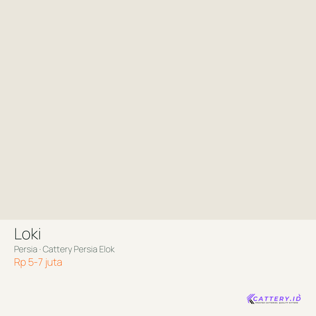 Kartu Loki