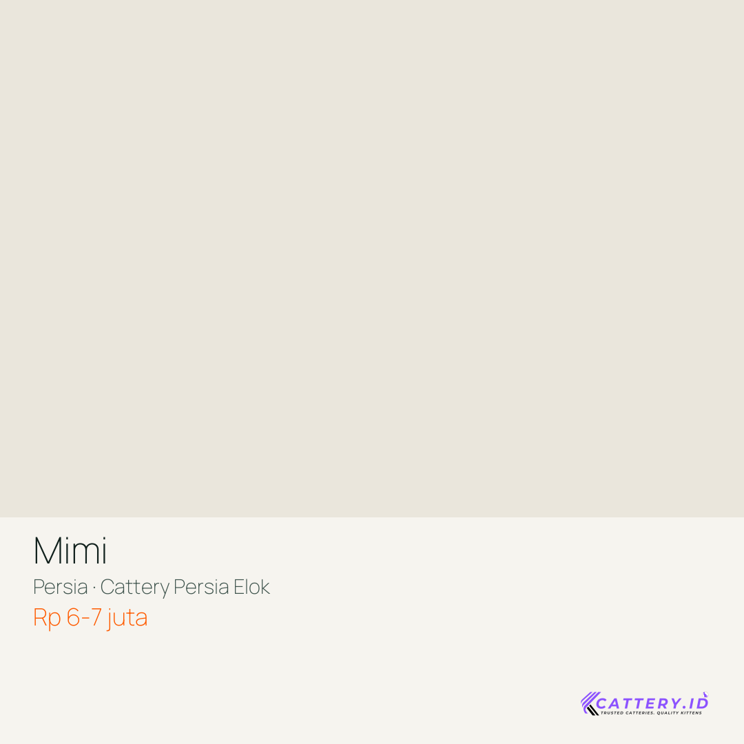 Kartu Mimi