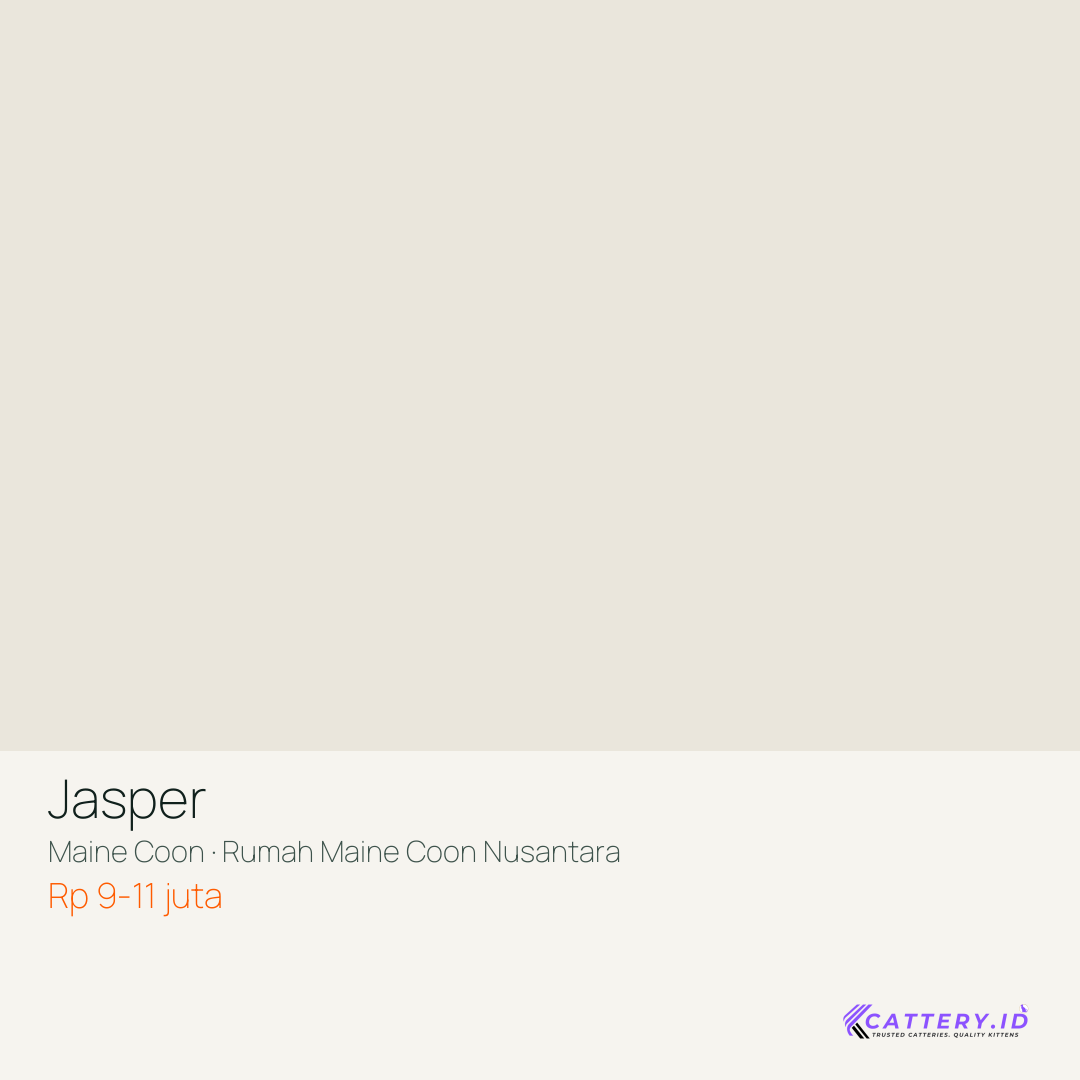 Kartu Jasper