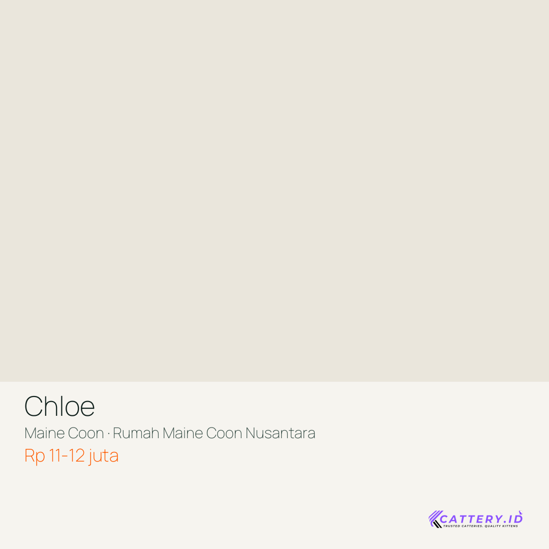 Kartu Chloe
