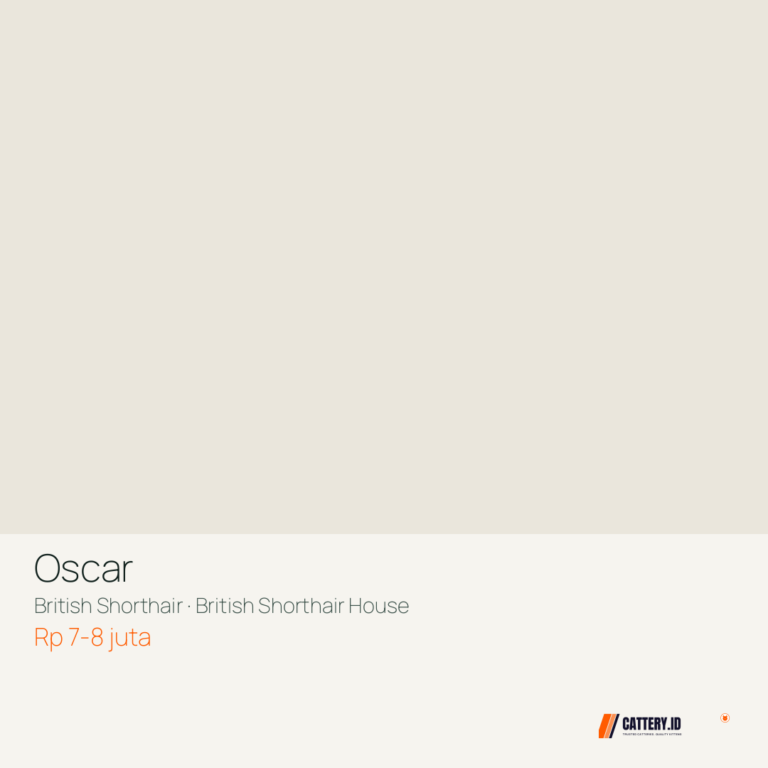 Kartu Oscar