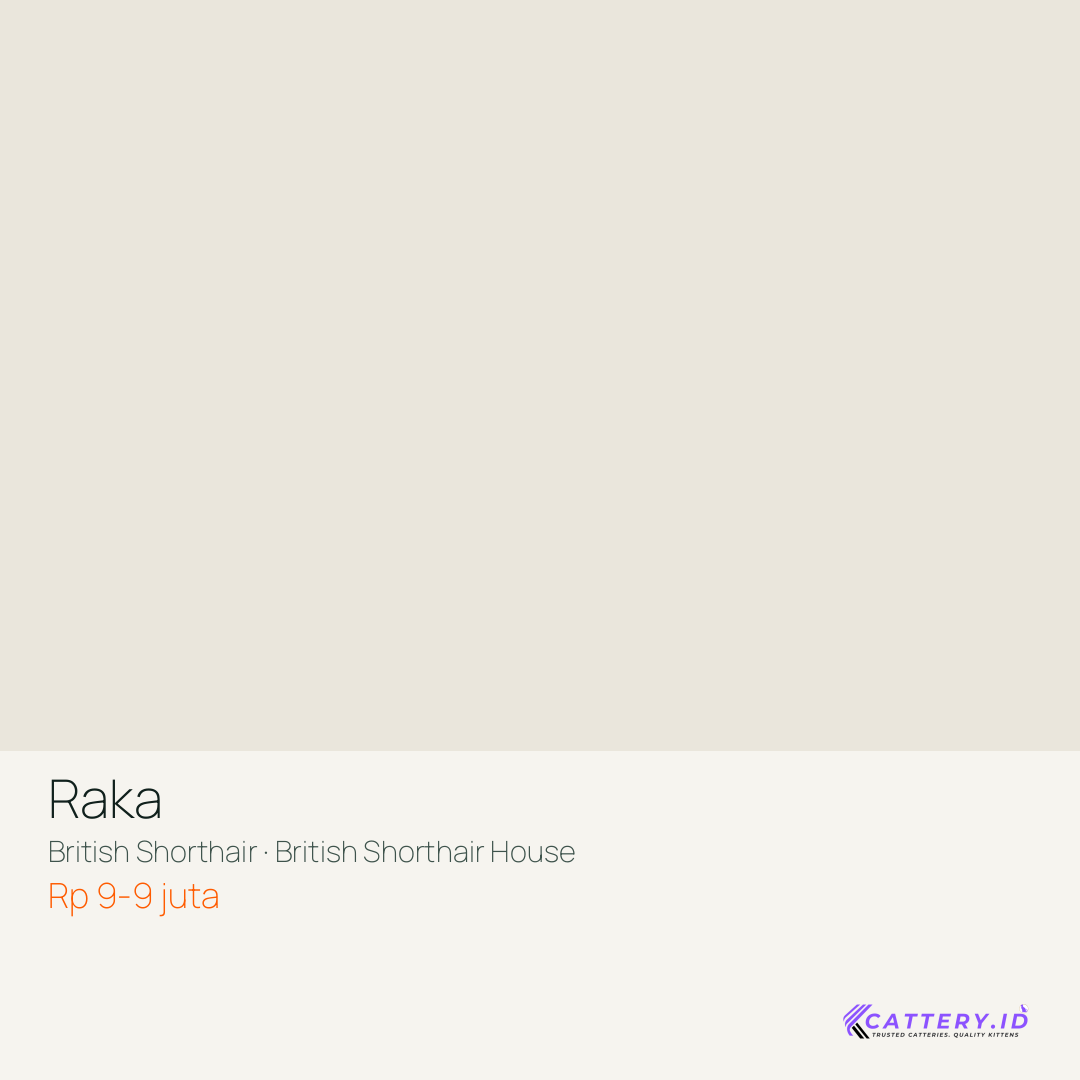 Kartu Raka