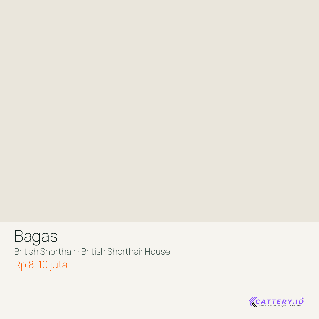 Kartu Bagas