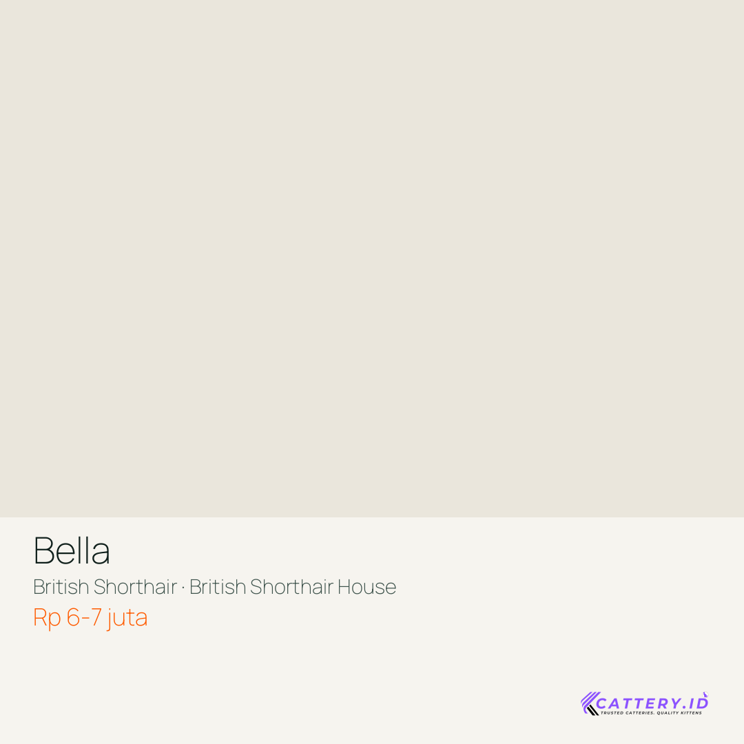 Kartu Bella