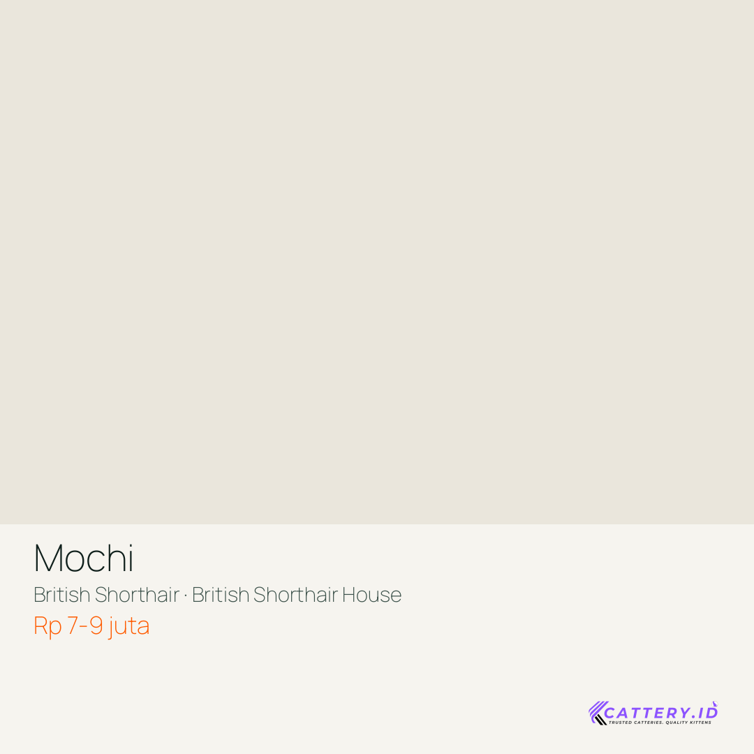 Kartu Mochi