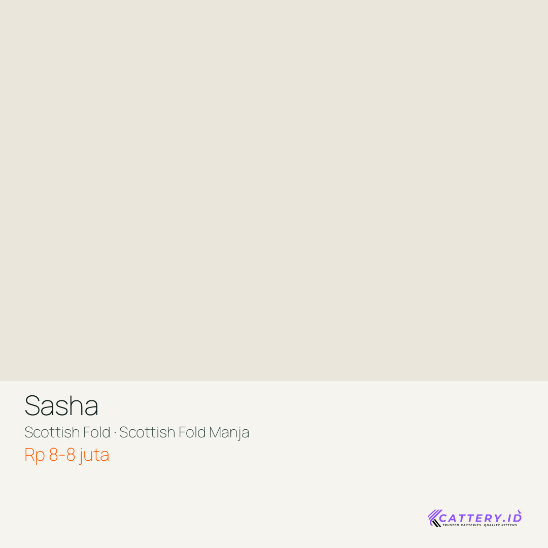 Kartu Sasha