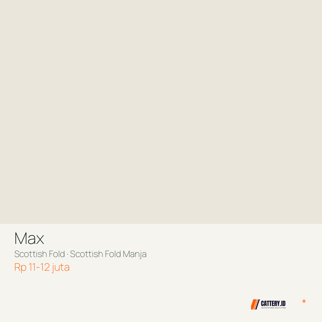 Kartu Max