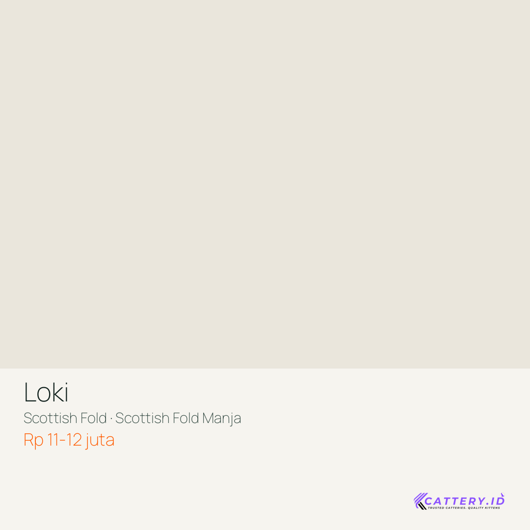 Kartu Loki