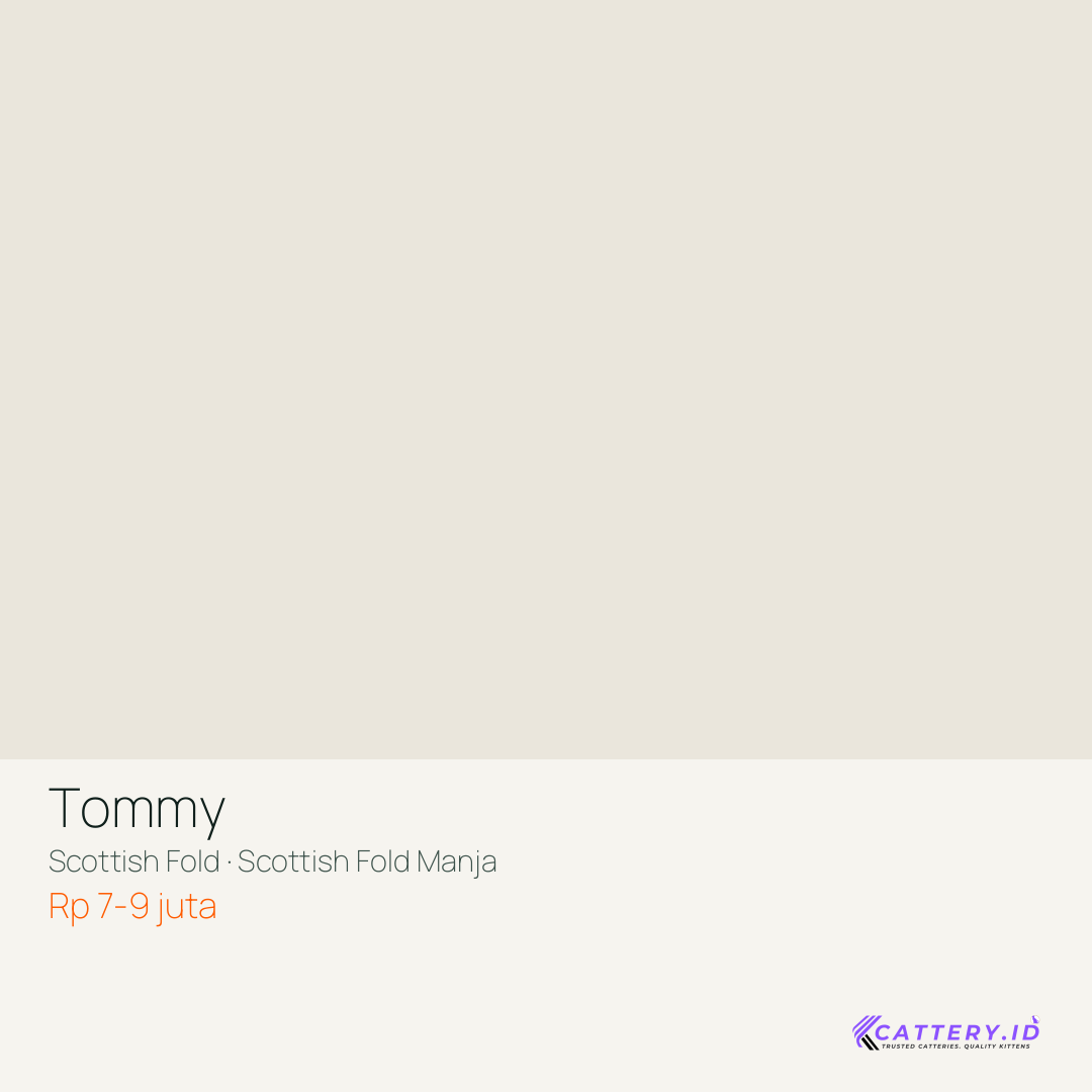Kartu Tommy