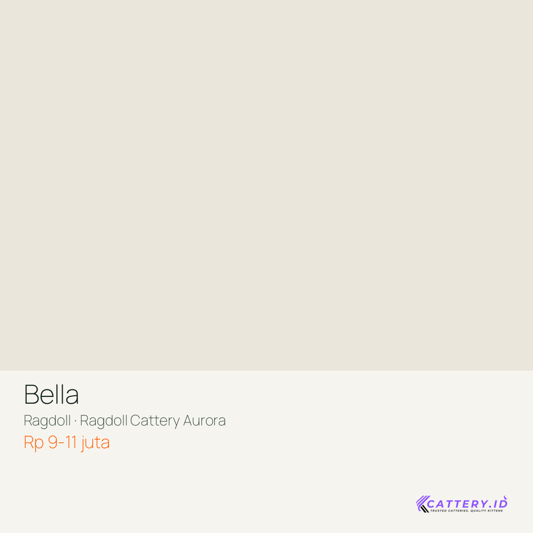 Kartu Bella