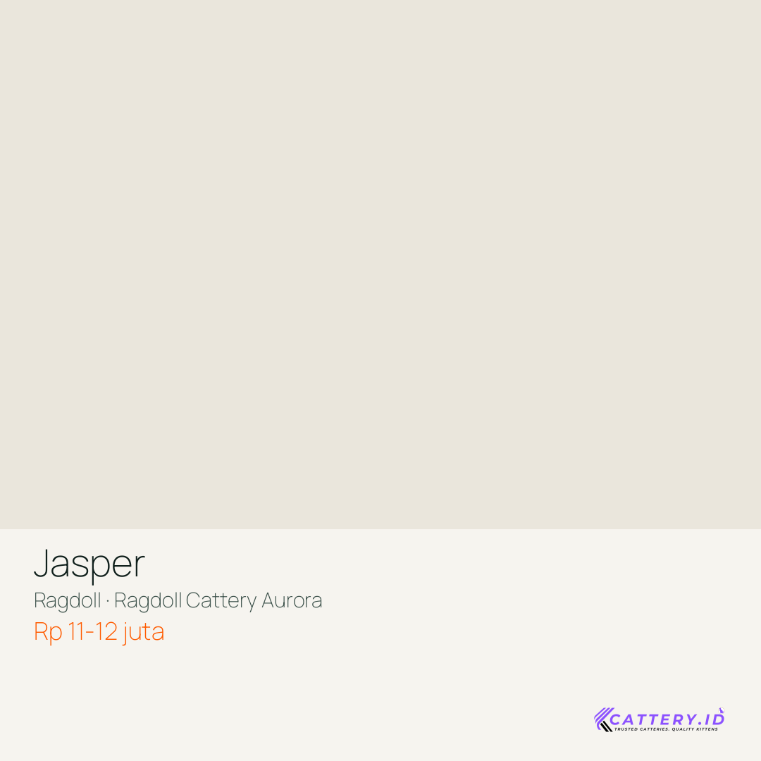 Kartu Jasper