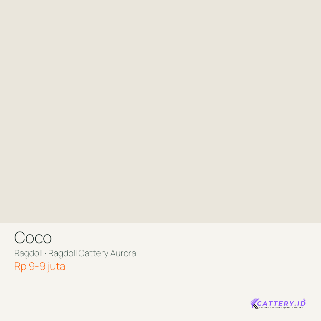 Kartu Coco